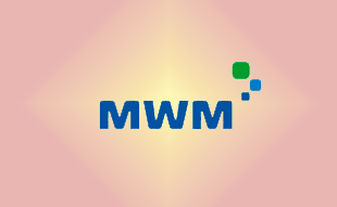 ✓ MWM 0403 3091 Запчасть MWM 